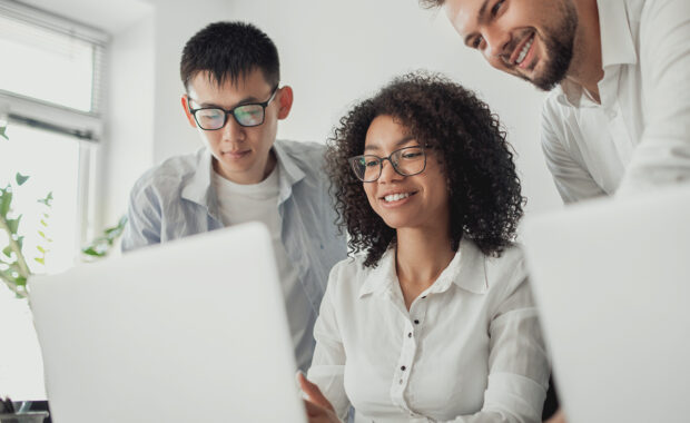 They work on managing workflow stages for better project management